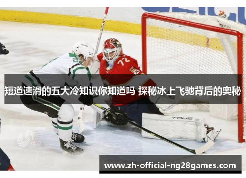 短道速滑的五大冷知识你知道吗 探秘冰上飞驰背后的奥秘