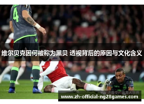 维尔贝克因何被称为黑贝 透视背后的原因与文化含义 维尔贝克因何被称为黑贝 透视背后的原因与文化含义