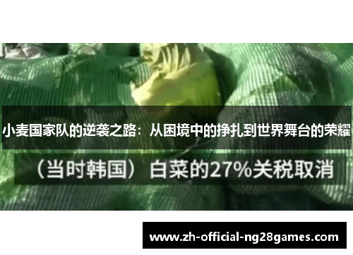 小麦国家队的逆袭之路：从困境中的挣扎到世界舞台的荣耀