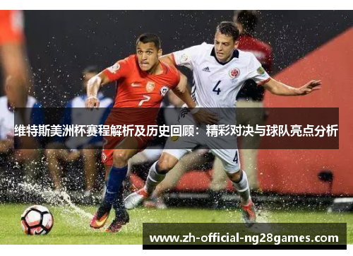 维特斯美洲杯赛程解析及历史回顾：精彩对决与球队亮点分析