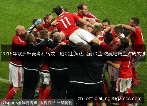 2016年欧洲杯麦考利乌龙，威尔士淘汰北爱尔兰 教练临场应对成关键